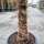 Hanfpalme "Trachycarpus Fortunei" +/-40cm Stamm (Nr. 8)